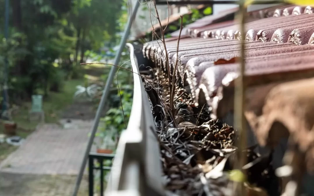 The Benefits of Roof Maintenance: Protect Your Home and Save Money