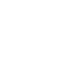 squirrel 1