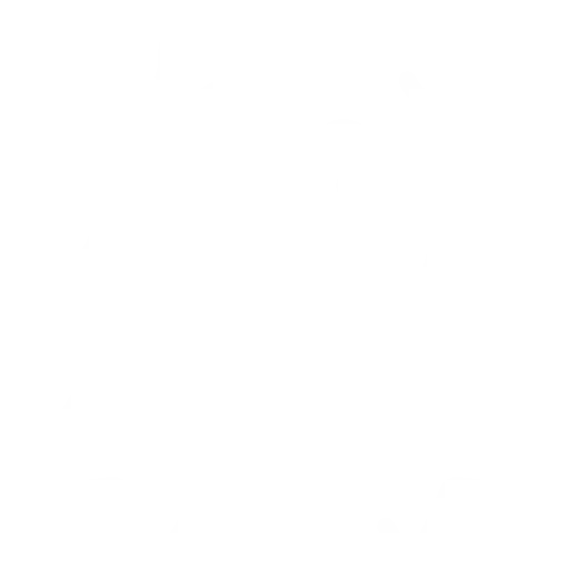 insignia